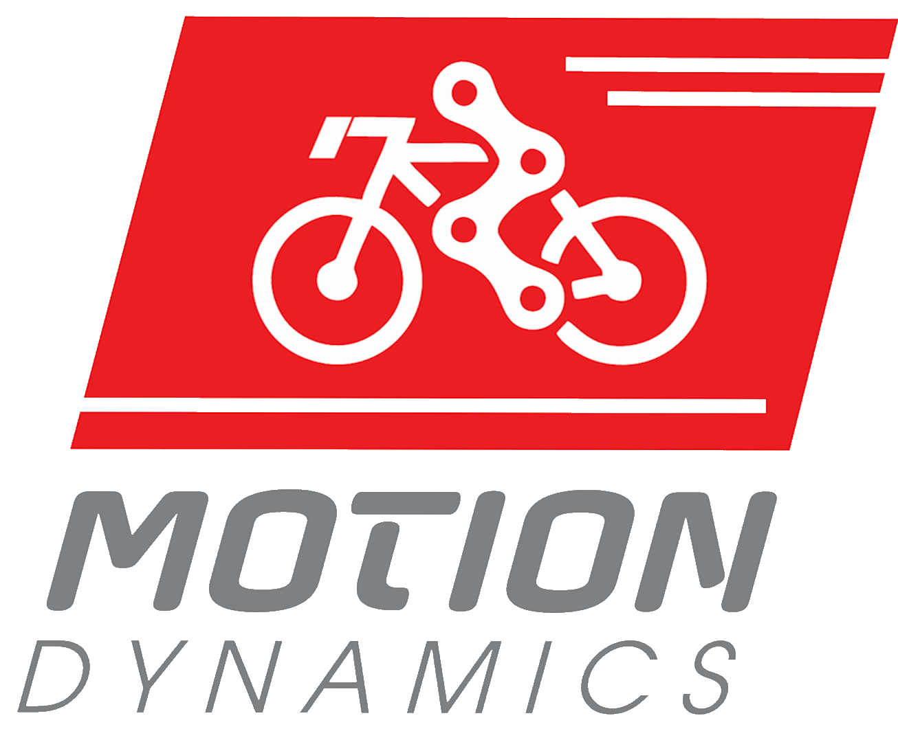 Motion Dynamics